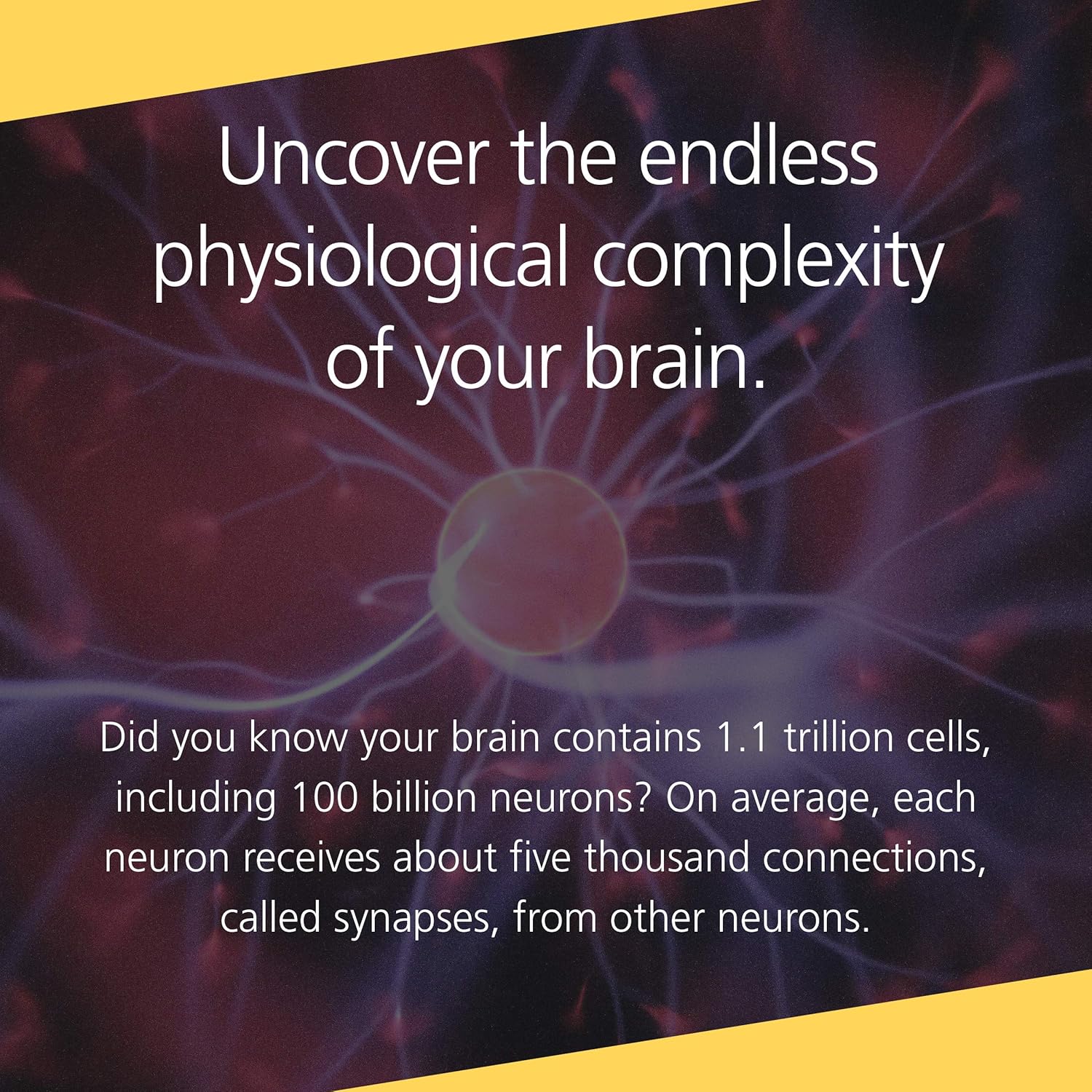 a1ulkhgeial. sl1500 .jpg a1ulkhgeial. sl1500 .jpg